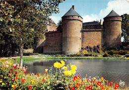 LASSAY    CHATEAU - Lassay Les Chateaux