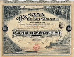 Titre De 1913 - Banana Du Rio-Grande - Nicaragua - Déco - Agricoltura