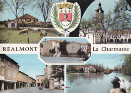 A21729 - REALMONT La Charmante Cows Vintage Car France Post Card Used 1968 Stamp Republique Francaise - Realmont