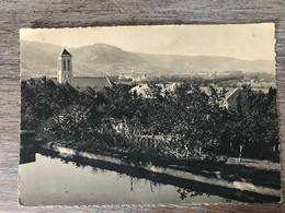 CPSM DOURGNE 81 Abbaye Saint Benoit D'en Calcat, Vue Générale - Dourgne