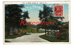 Canada New Brunswick NB St. Saint John View In Public Garden CPA Old Postcard - St. John