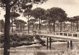 Milano Marittima ( Cervia) La Passerella Sul Canal  (10 X 15 Cm) - Ravenna