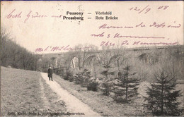 ! 1908 Alte Ansichtskarte Pressburg, Rote Brücke, Pozsony - Slovacchia