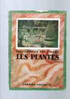 ENCYCLOPEDIE PAR L IMAGE LES PLANTES 1931  PRIMITIVES,VASCULAIRES,ANGIOSPERMES, MONO/DI COTYLEDONES - Encyclopédies