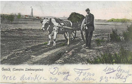 GENCK  Campine Limbourgeoise - Genk