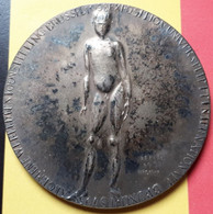 ! PROMO 60€ ! BELGIQUE EXPO 1958 MEDAILLE POUR UN MONDE PLUS HUMAIN VOOR EEN HUMANER WERELD ! PATINE ! 71.5MM 124GR - Monarquía / Nobleza