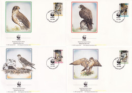 24761 MNH ISLANDIA 1992 HALCON GERIFALTE - Lots & Serien