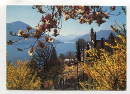 AK 093447 SWITZERLAND - Ronco - Ronco Sopra Ascona