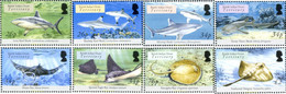 160062 MNH OCEANO INDICO BRITANICO 2005 FAUNA MARINA - Brits Indische Oceaanterritorium