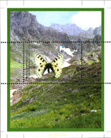 197225 MNH UZBEKISTAN 2006 MARIPOSA - Uzbekistan