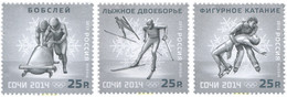 311782 MNH RUSIA 2013 22 JUEGOS OLIMPICOS DE INVIERNO SOCHI 2014 - Invierno 2014: Sotchi