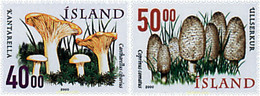 49219 MNH ISLANDIA 2000 SETAS - Colecciones & Series