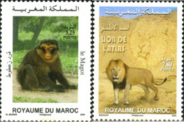 190062 MNH MARRUECOS 2006 FAUNA - Chimpancés