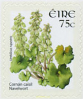 190024 MNH IRLANDA 2006 FLOR - Collections, Lots & Series