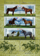 282012 MNH ARGENTINA 2000 CABALLOS - Used Stamps