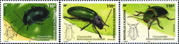 189344 MNH NUEVA CALEDONIA 2005 COLEOPTEROS - Oblitérés