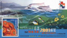 140193 MNH HONG KONG 2000 HONG KONG 2001. EXPOSICION FILATELICA INTERNACIONAL - Verzamelingen & Reeksen