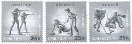 311781 MNH RUSIA 2013 22 JUEGOS OLIMPICOS DE INVIERNO SOCHI 2014 - Usados