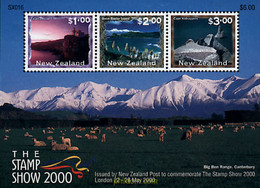 69319 MNH NUEVA ZELANDA 2000 THE STAMP SHOW 2000. EXPOSICION FILATELICA INTERNACIONAL - Abarten Und Kuriositäten
