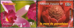 184977 MNH POLINESIA FRANCESA 2003 FLORES - Gebruikt