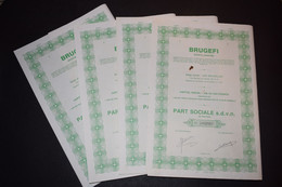 4 Actions Brugefi Société Agricole De Mayumbe Afrique 1 Parts Sociales 1985 - Landbouw