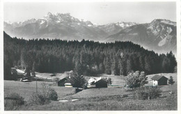 Switzerland Postcard Luan Sur Corbeyrier Et Les Dent Du Midi - Corbeyrier