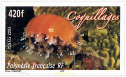 147864 MNH POLINESIA FRANCESA 2003 FAUNA MARINA - Gebruikt