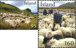 248181 MNH ISLANDIA 2009 RECOGIDA DE OVEJAS - Lots & Serien