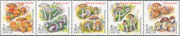 358214 MNH RUSIA 2003 SETAS - Used Stamps