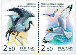 103368 MNH RUSIA 2002 AVES - Used Stamps