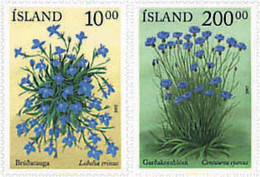98065 MNH ISLANDIA 2002 FLORES DE VERANO - Collections, Lots & Séries