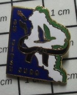 513a Pin's Pins / Beau Et Rare / SPORTS /  JU JITSU JUDO CHARENTE MARITIME - Judo