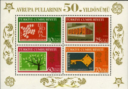 191084 MNH TURQUIA 2005 50 ANIVERSARIO EUROPA CEPT - Collections, Lots & Séries