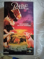 BABE - Commedia