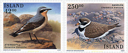 81278 MNH ISLANDIA 2001 AVES - Collections, Lots & Series