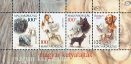 158612 MNH HUNGRIA 2004 PERROS - Usado