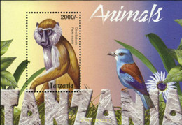 178692 MNH TANZANIA 2004 FAUNA - Chimpanzees