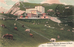 Carte Ancienne SUISSE Colorisée Grand HOTEL Des Rochers De NAYE - 1907 - Des Vaches - Roche