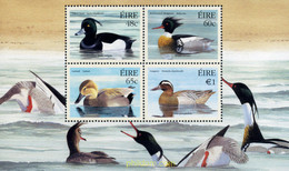 147339 MNH IRLANDA 2004 PATOS - Collections, Lots & Séries