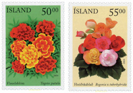 142941 MNH ISLANDIA 2004 FLORA - Verzamelingen & Reeksen