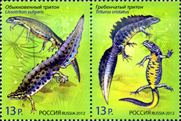 291159 MNH RUSIA 2012 - Usados