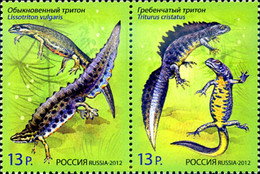 291159 MNH RUSIA 2012 - Gebraucht