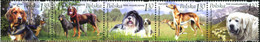 197138 MNH POLONIA 2006 PERROS - Ohne Zuordnung