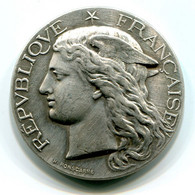 Rare Médaille / Medal Concours Général Agricole -  Paris 1891 Argent (Silver) - Professionnels / De Société