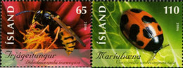 193583 MNH ISLANDIA 2006 INSECTOS - Collezioni & Lotti