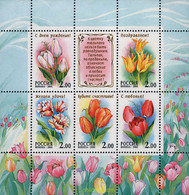 96626 MNH RUSIA 2001 TULIPANES - Used Stamps