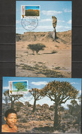 UNO Genf 1991 MK  MiNr.198 - 199 1Jahr Unabhängigkeit Von Namibia  ( D 5908 ) Günstige Versandkosten - Cartes-maximum