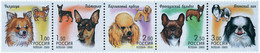 6006 MNH RUSIA 2000 PERROS DE COMPAÑIA - Used Stamps