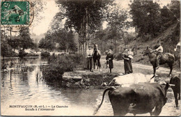 49 MONTFAUCON - La Guerche - Boeufs à L'abreuvoir - Montfaucon