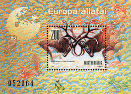 78212 MNH HUNGRIA 2001 FAUNA DE EUROPA - Usado